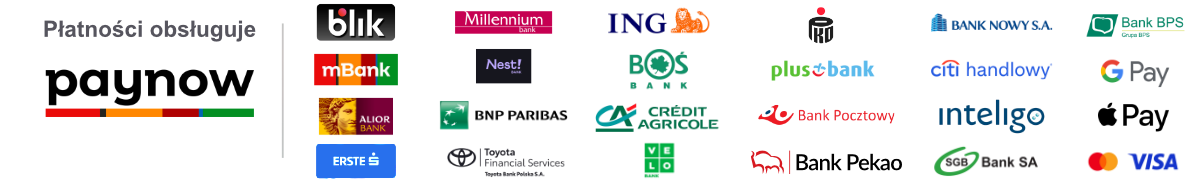 Paynow logos